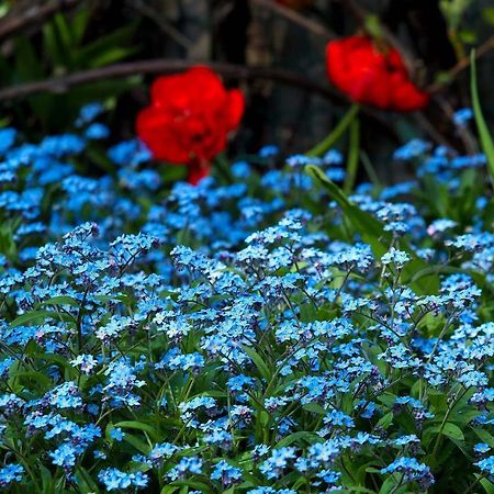 Ventspils Garden House Apartment Bagian luar foto