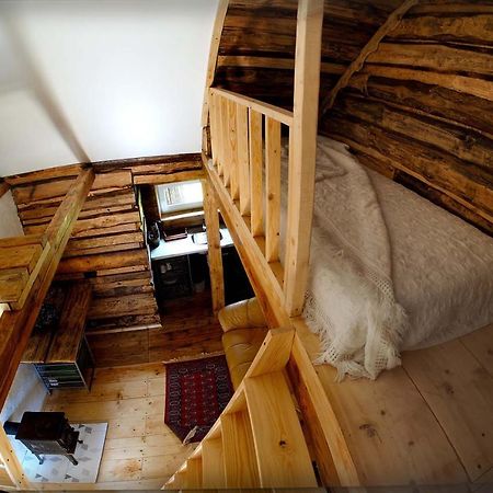 Ventspils Garden House Apartment Bagian luar foto